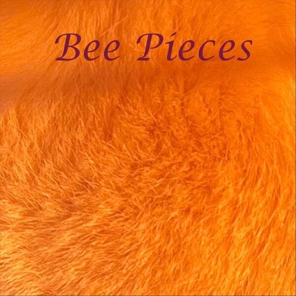 Cover art for Vol. 1